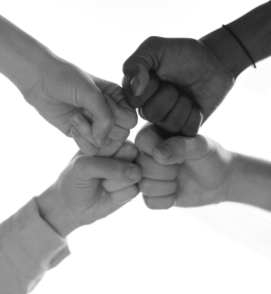 Add Your Description